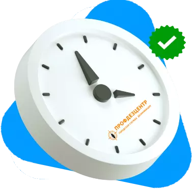 Работаем 24/7 Выезд дезинфекторов 24/7