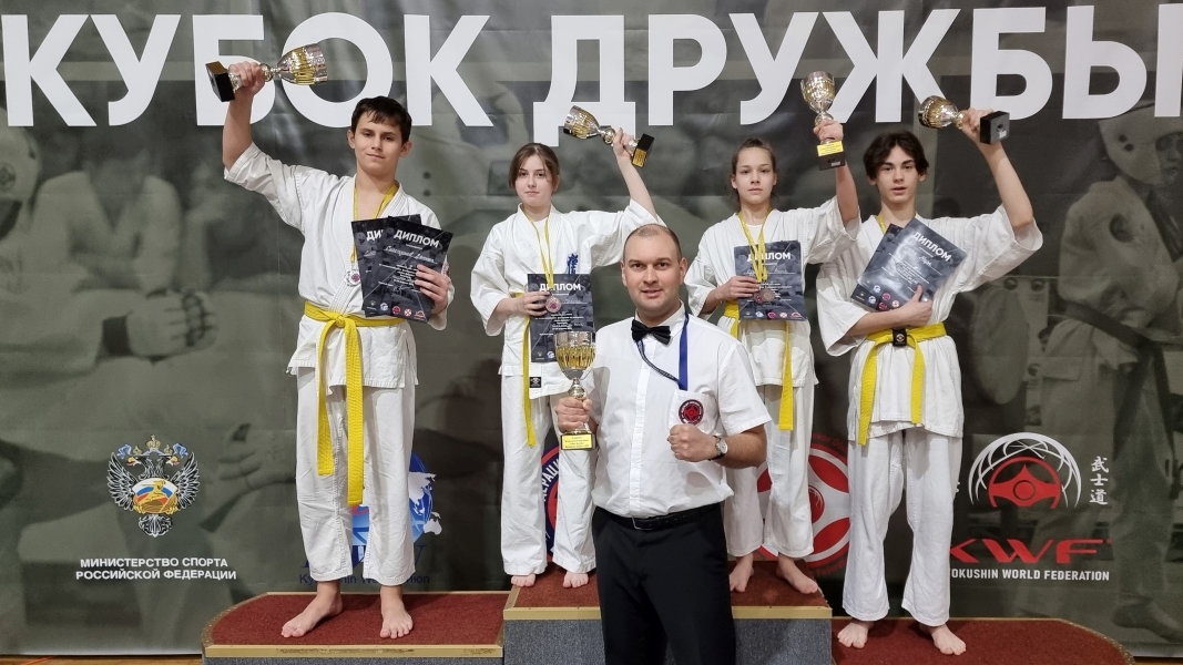 киокушин каратэ в липецке