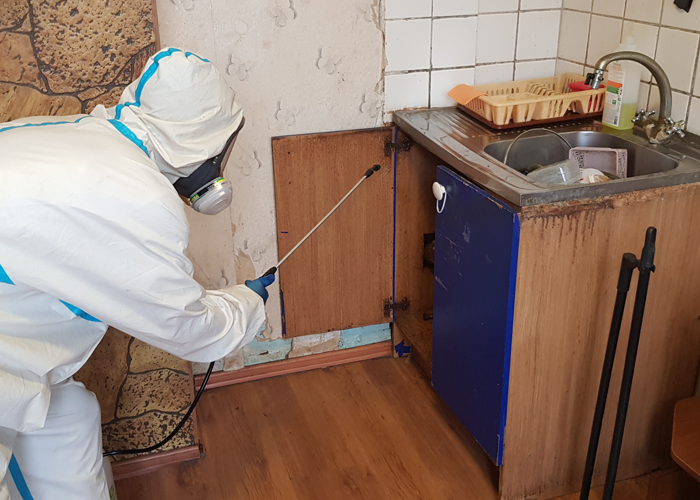 Травля тараканов помповым опрыскивателем на кухне