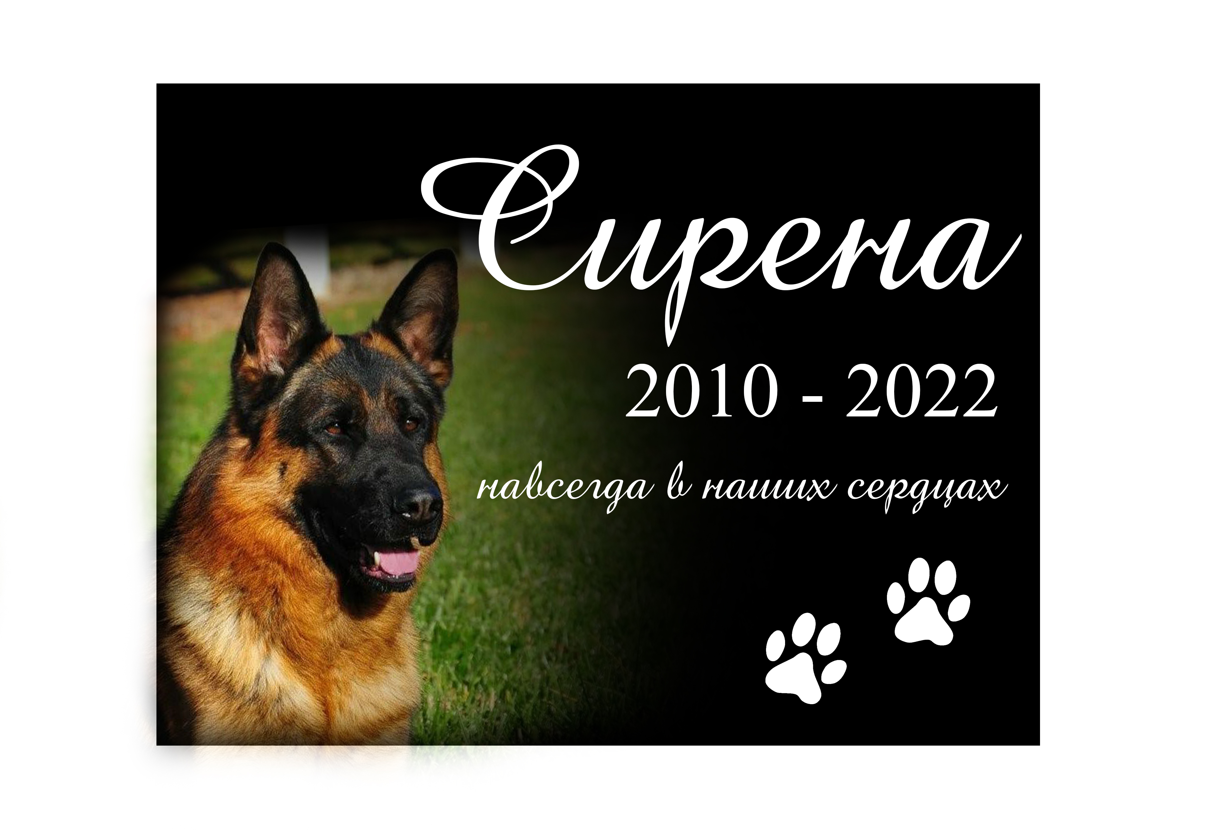 Памятник из гранита или мрамора Памятник животному