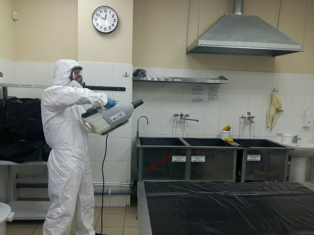 Дезинсекция тараканов в квартире во Владивостоке
