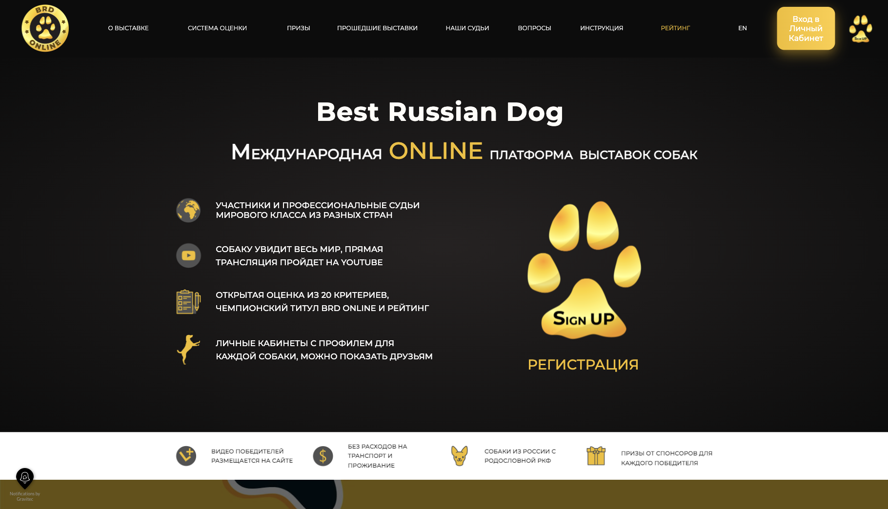 Главная страница сайта brd-show.online