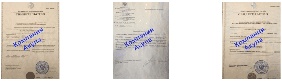 Документы BTL агентство Акула в г. Пугачёв Документы BTL агентство Акула в г. Пугачёв
