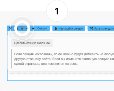 Выберите секцию, которую хотите сделать сквозной Выбор секции