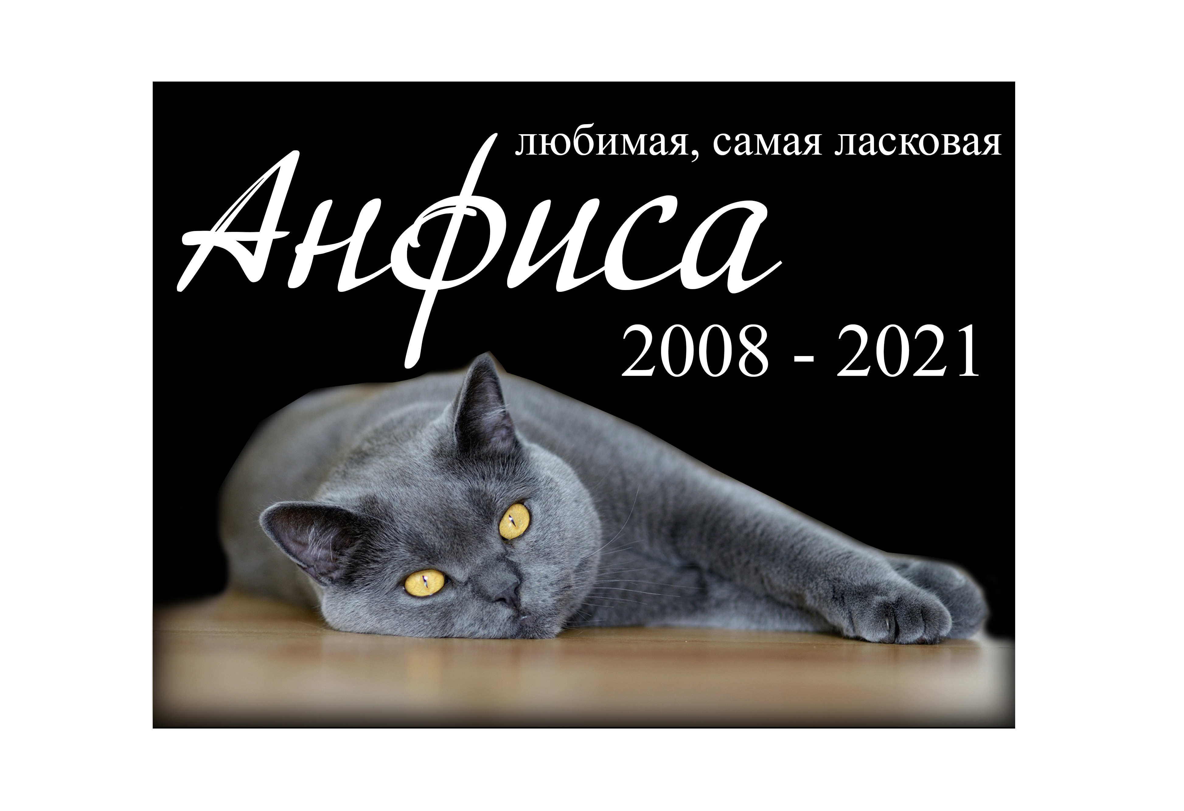 Памятник из гранита или мрамора Памятник животному