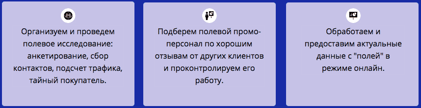 Описание организации полевых маркетинговых исследований Описание организации полевых маркетинговых исследований