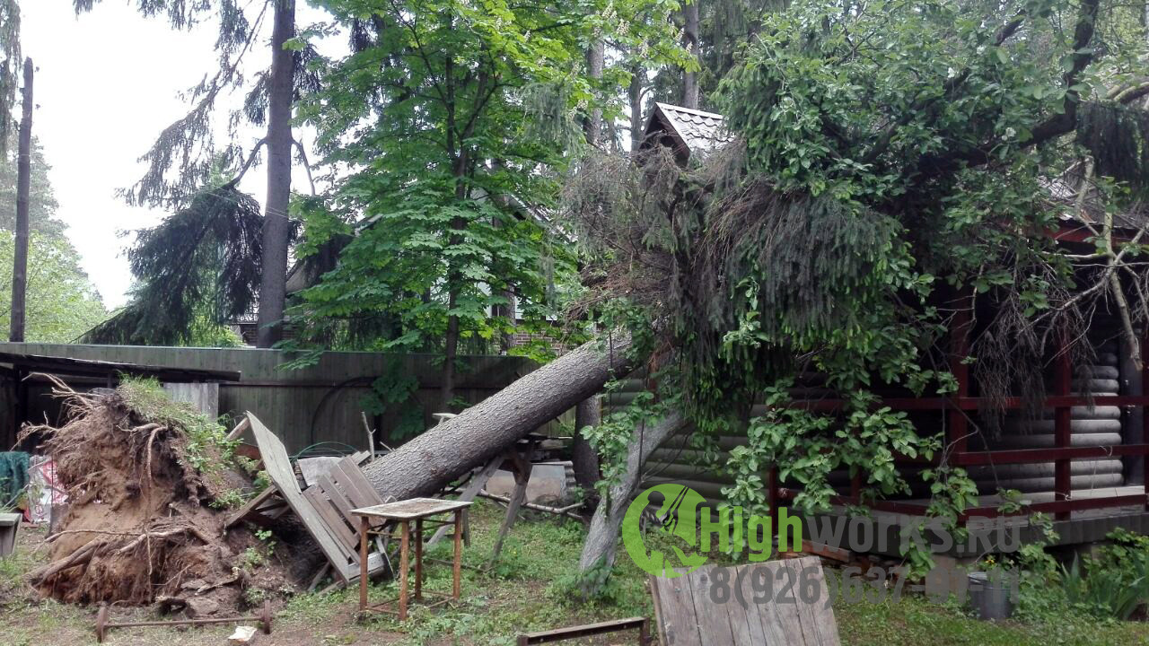 Удаление и укрепление деревьев промышленными альпинистами Удаление и укрепление деревьев промышленными альпинистами