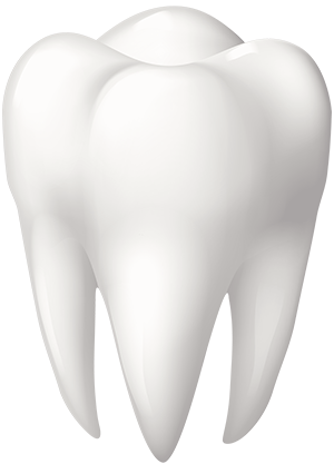 Зуб