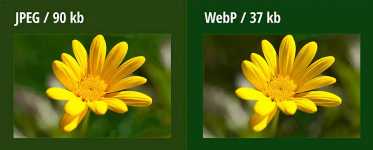 Сравнение jpg и webp Сравнение картинок jpg и webp