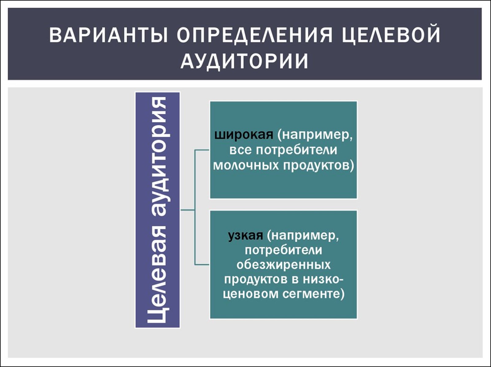 Широкая и узкая аудитория Широкая и узкая аудитория фото