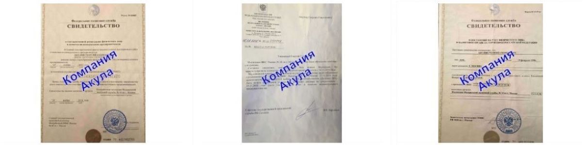 Документы агентства грузчиков с почасовой оплатой Акула Документы агентства грузчиков с почасовой оплатой Акула
