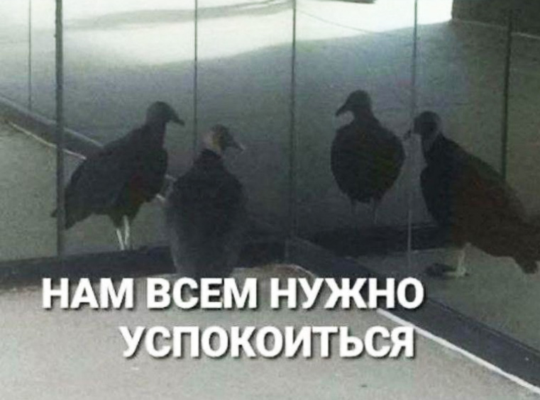 Как руководителям центров дополнительного образования бороться с кадровым голодом Кадровый голод в предприятиях дополнительного образования