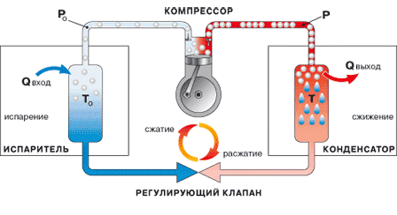 Шоковая заморозка ягод Ягоды замороженные в камере шоковой заморозки