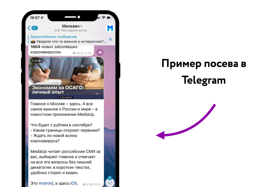 посев в тг посев в тг фото