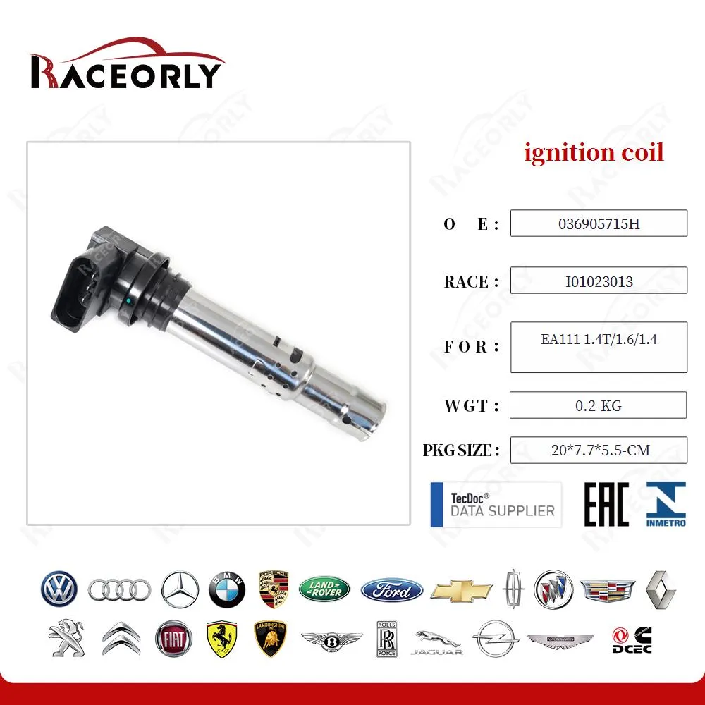 Катушка зажигания от Raceorly