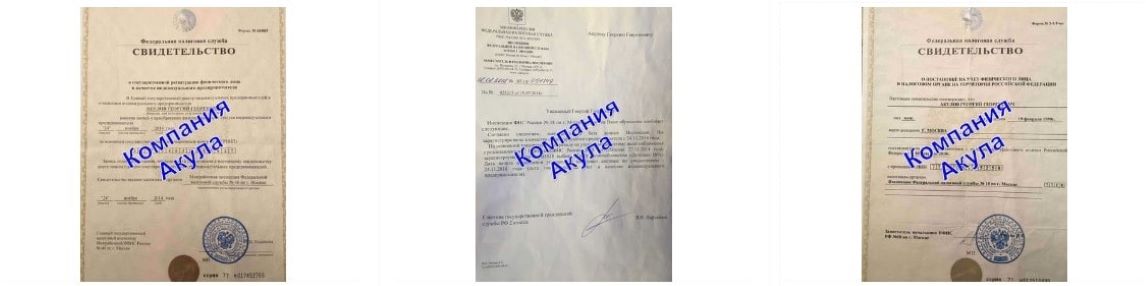 Документы агентства грузчиков Акула Документы агентства грузчиков Акула