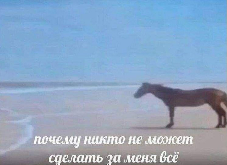 Реферальная HR программа в центре дополнительного образования Создание реферальной программы для сотрудников в центре дополнительного образования