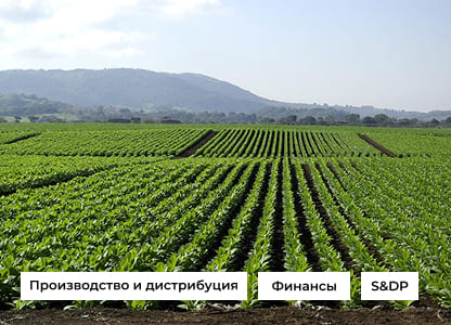 Оптимакрос для производства Vetonit и ISOROC