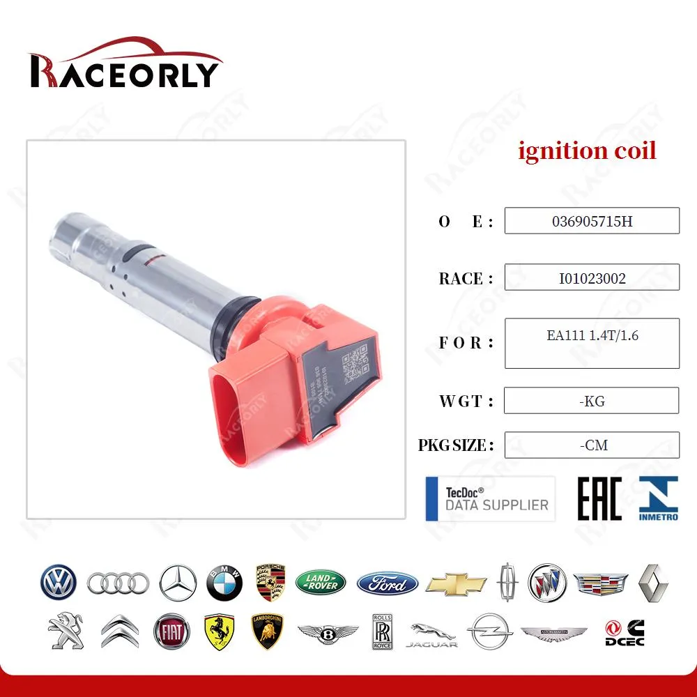 Катушка зажигания от Raceorly