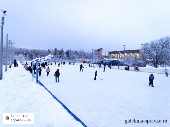Каток в Гатчине Каток в Гатчине