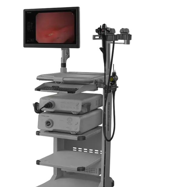 Ультразвуковой аппарат Sonoscape S60 с изображением 3D-сканирования Медицинский УЗИ-аппарат Sonoscape S60, оснащённый монитором и современным интерфейсом