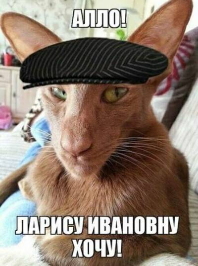Интересный факт