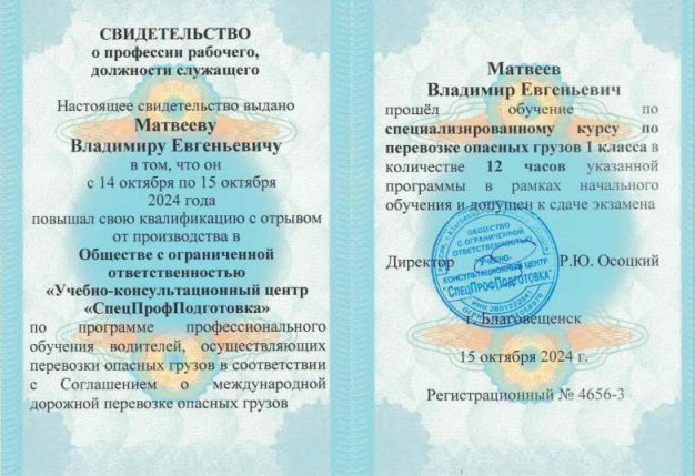 образец свидетелства ДОПОГ