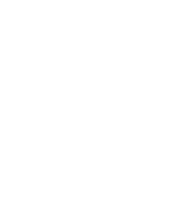 RAM auto RAM auto
