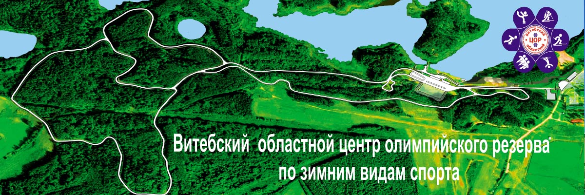 vocorzvs.by воцор по звс бай