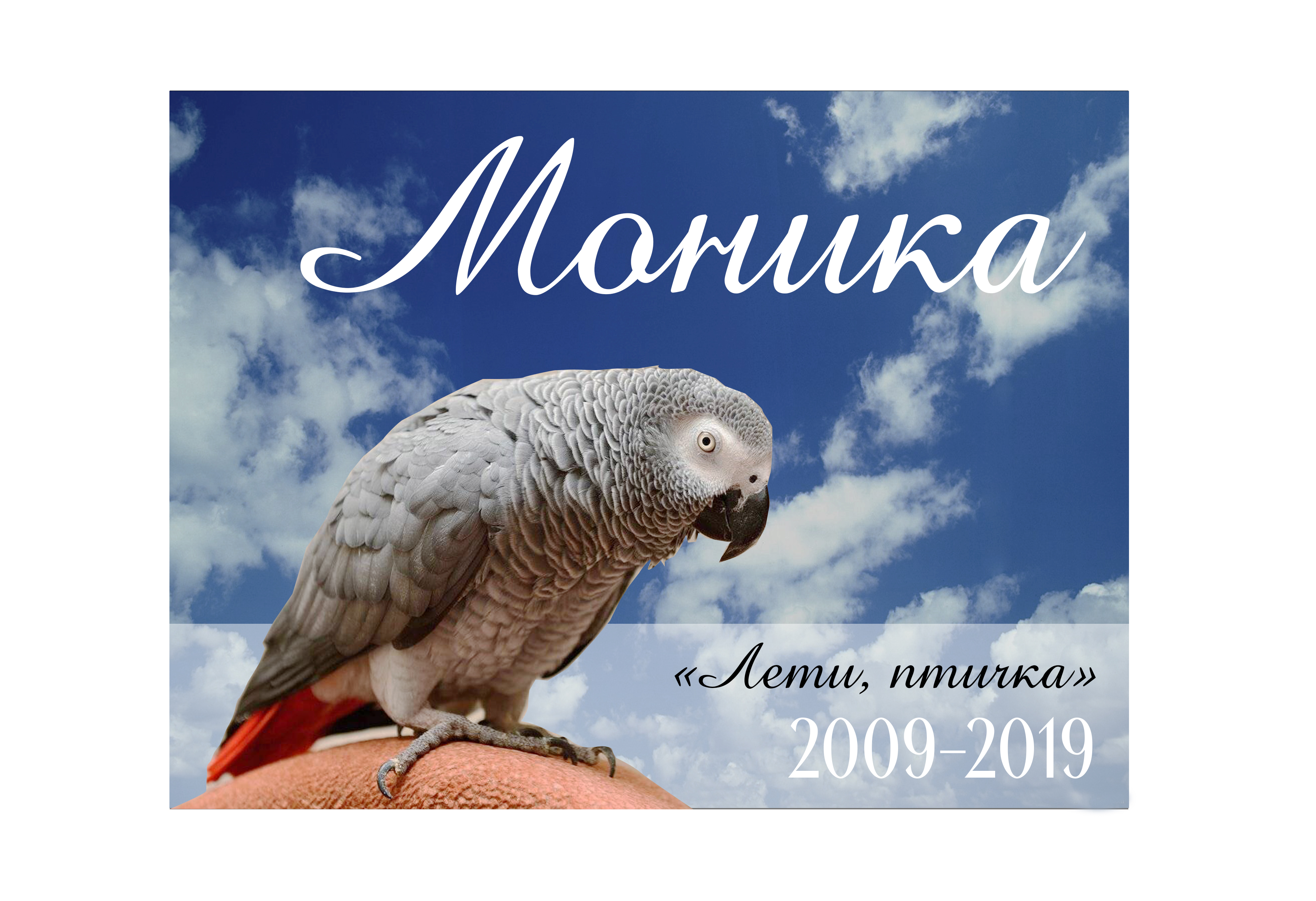 Памятник из гранита или мрамора Памятник животному